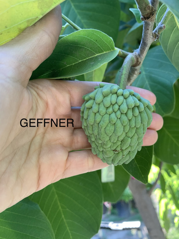 EA39F6D6-3A24-463A-93D9-273F9607AE77