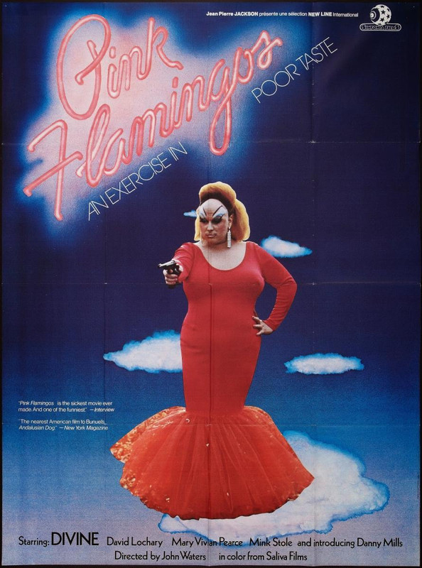 pink flamingos 627622858 large - Pink Flamingos Dvdrip Español (1972) Comedia Gore