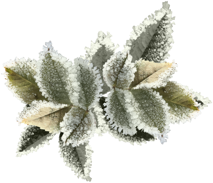 Clockwork Xmas (108)