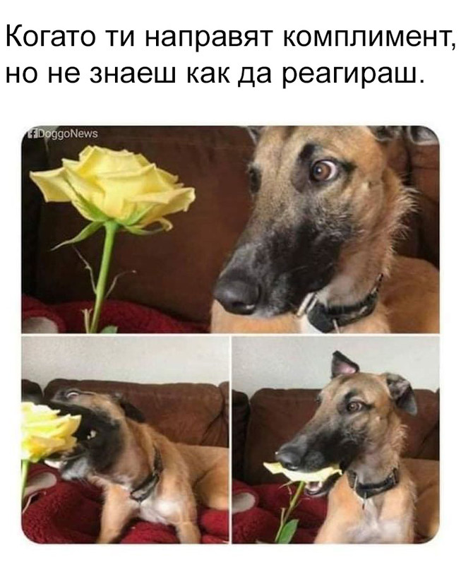 14032535