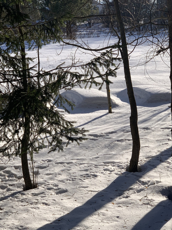 2D5027CE-BBEC-4132-844C-A2C6D073A80E