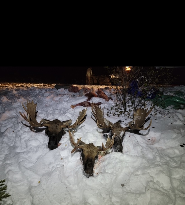 0D118D58-342F-447C-9E25-829783EA6F04