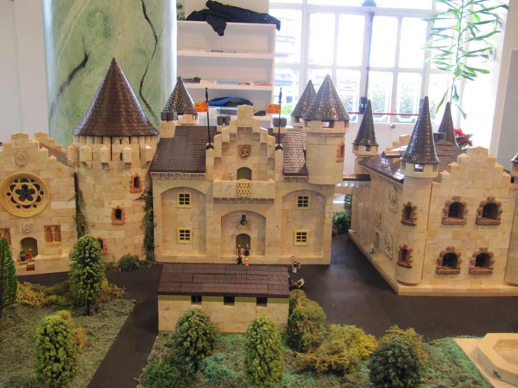 IMG-6635 (1)