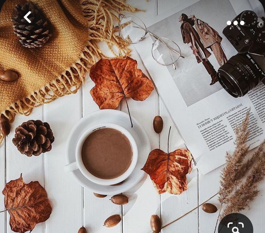 Screenshot_20231008_224925_Pinterest