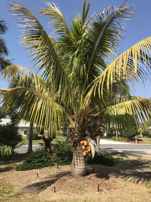 94756155-A8E5-47E5-A768-4D6532FA5F03