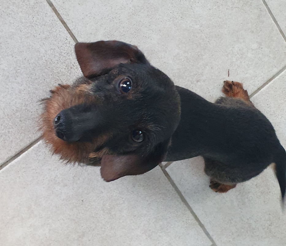 [Image: 20230705-212909.jpg]