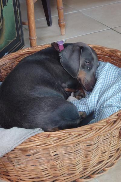 [Image: DSC-0017.jpg]