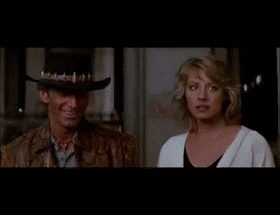 Meager-Baggy-Harborporpoise-max-1mb.gif