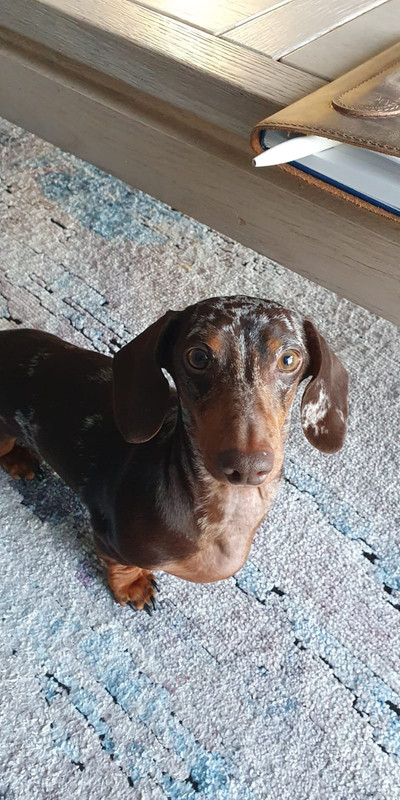 [Image: IMG-20220113-WA0005.jpg]