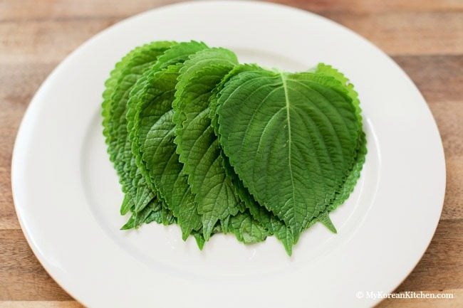 [Image: 19-Korean-perilla-leaves.jpg]