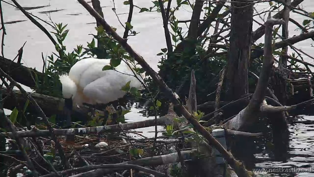 snapshot 2026 04 27T160822 321