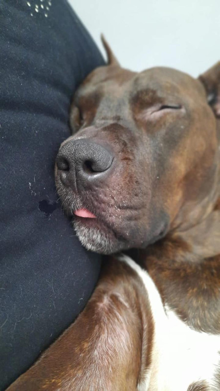 3C673464-EF0C-49D7-ACA6-29C1751D41C6