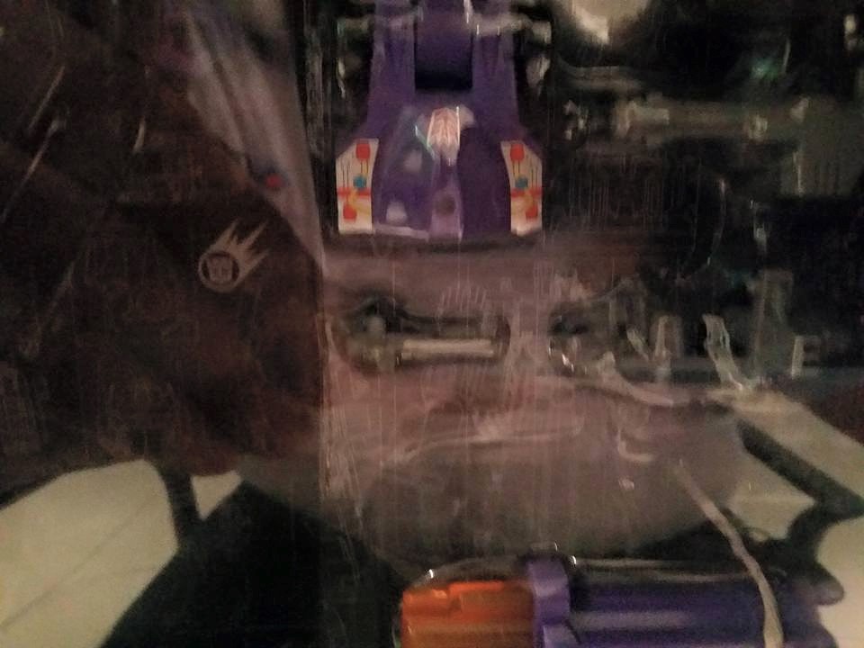 11295685_10204331261466575_375754595611537771_n