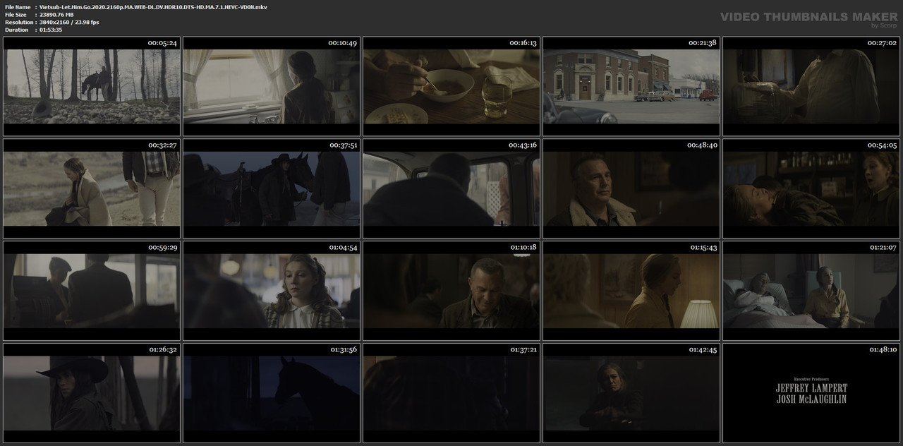 Vietsub-Let-Him-Go-2020-2160p-MA-WEB-DL-DV-HDR10-DTS-HD-MA-7-1-HEVC-VD0-N-mkv.jpg