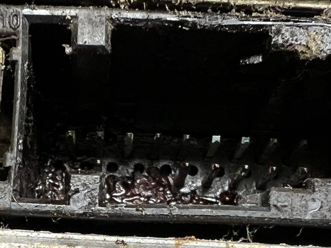 187C7349-F9B5-424A-80B0-EC71CA2015AC