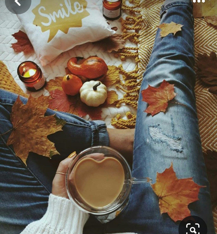 Screenshot_20230909_010117_Pinterest