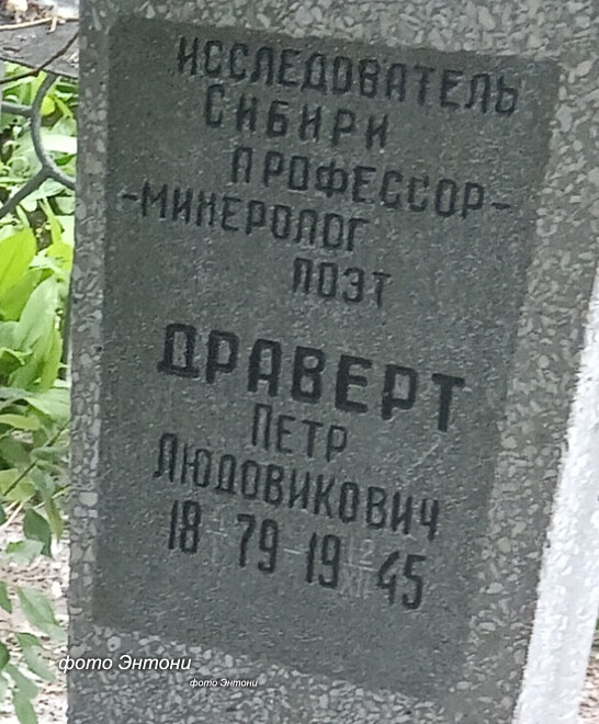 dravert-p2