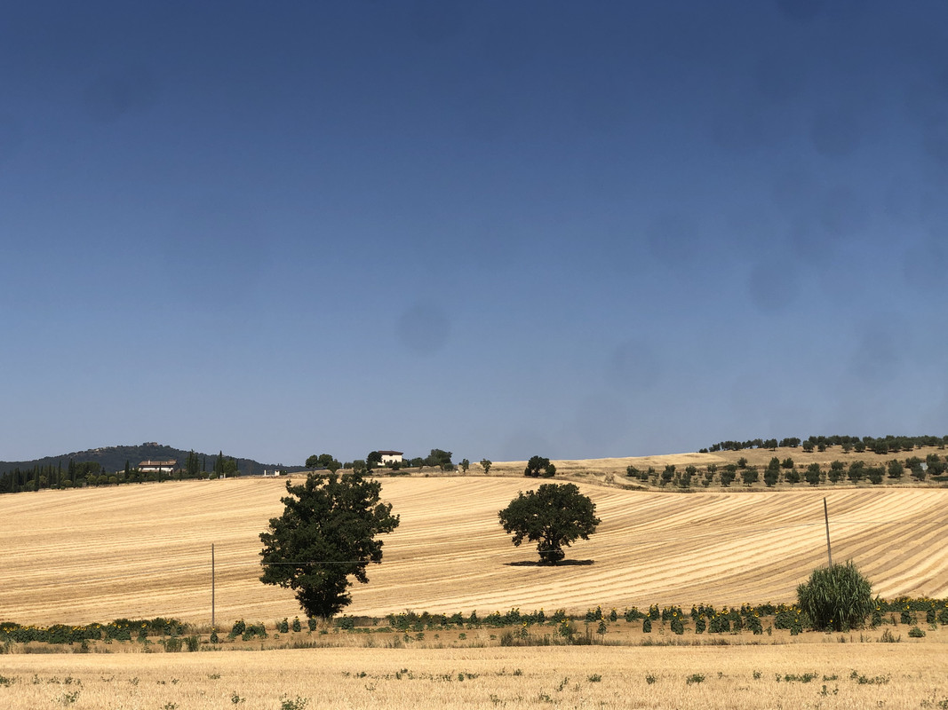 61C98C68-9E72-4AC6-8169-4E26C7CBF207