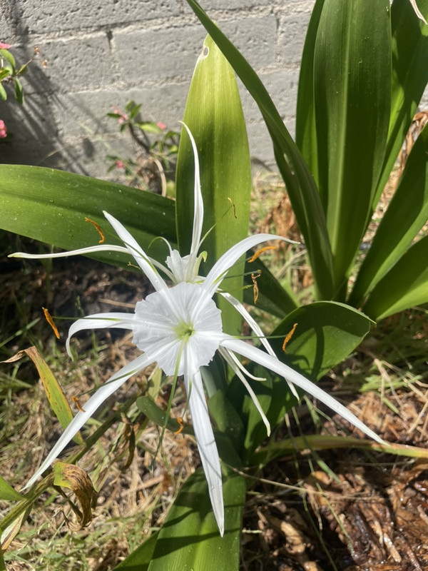 B830E088-58FB-40DA-A24C-33C54CA716C3_1_105_c