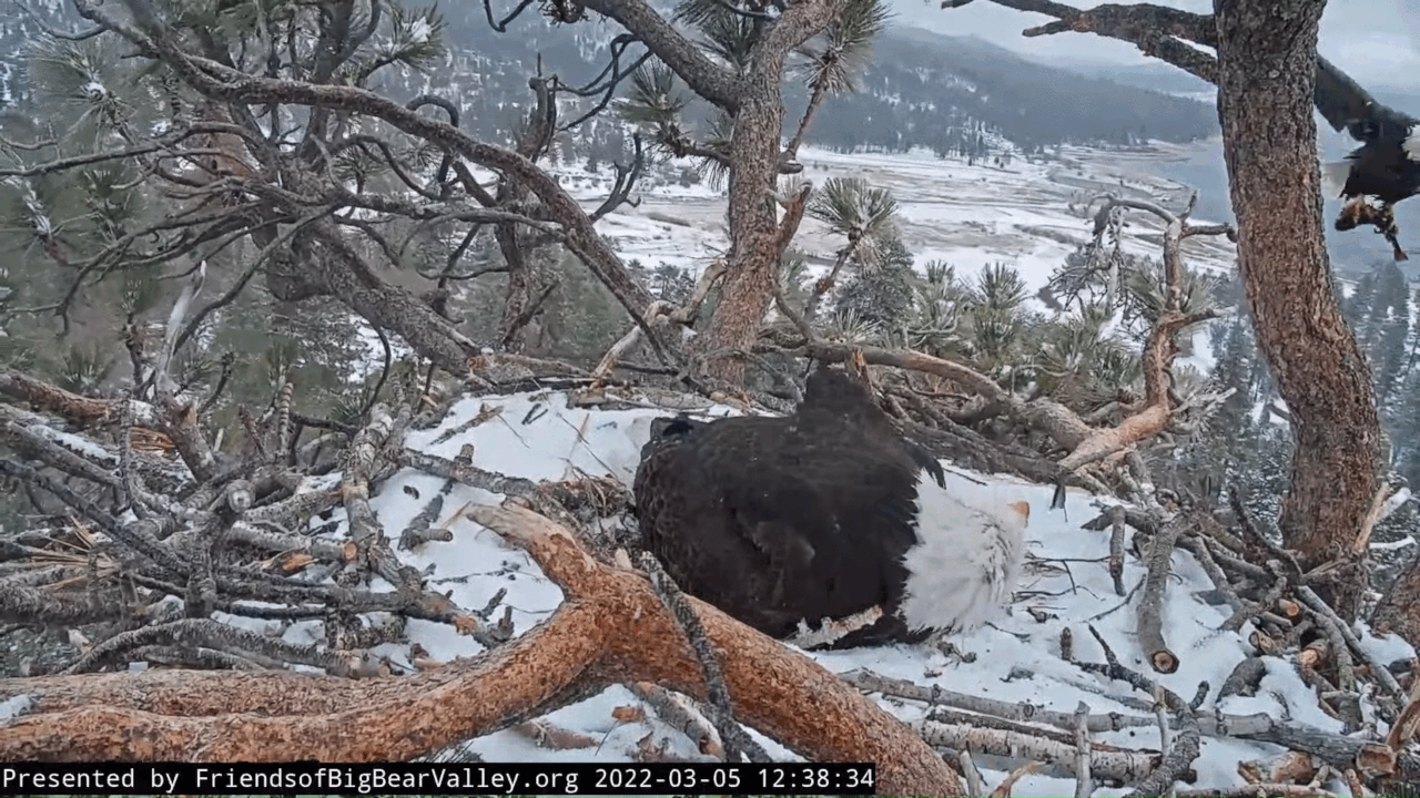 Webp.net-gifmaker (2)