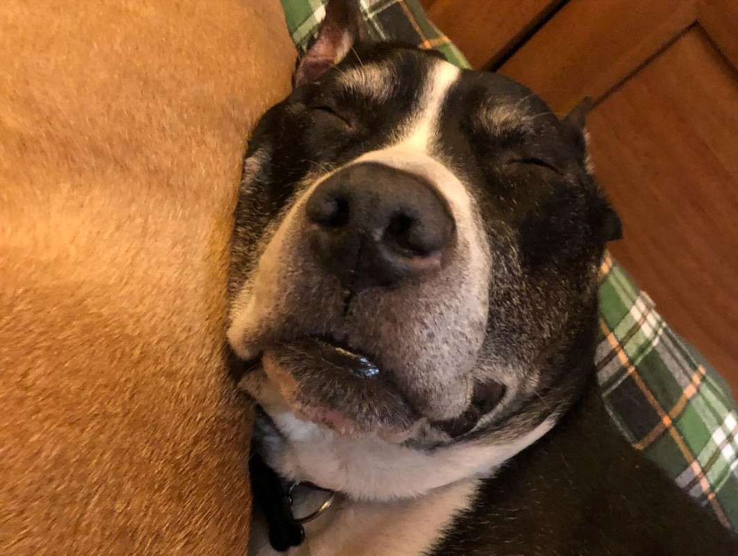 28AE17DF-EE11-4EE2-BA8B-93F646D65B56