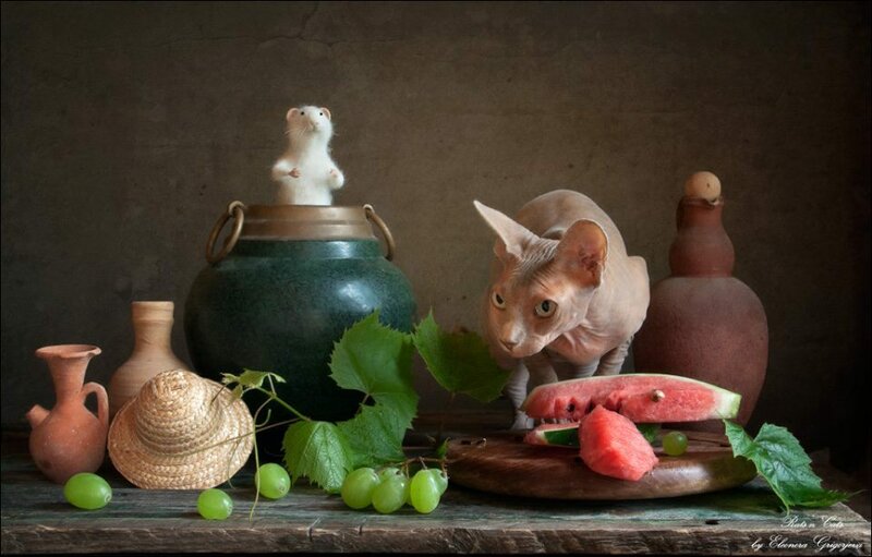 11216820-586971614739639-5592045680988758255-n