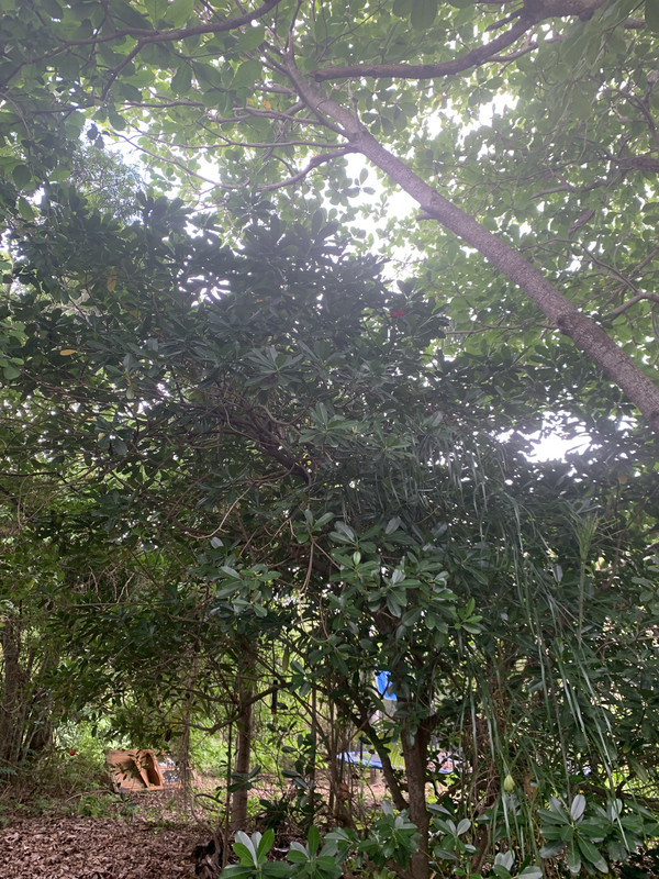 385299F2-441E-4D71-8F96-28A1479F6FA8