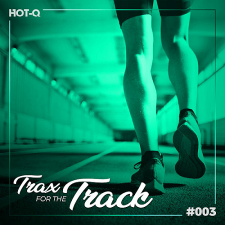 0dc16195 4a5b 4e8f 8202 6620500739cc - VA - Trax For The Track 003 (2020)