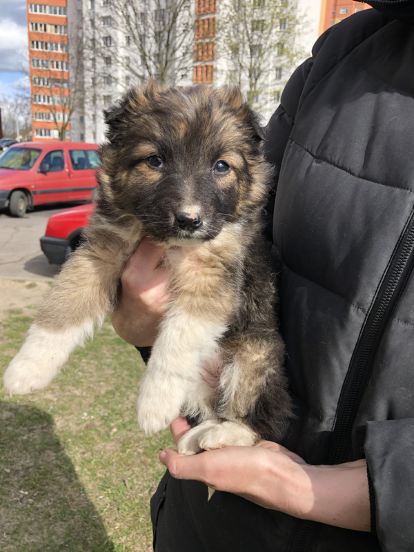 35615679-9F3D-41A5-954E-E289767A0964