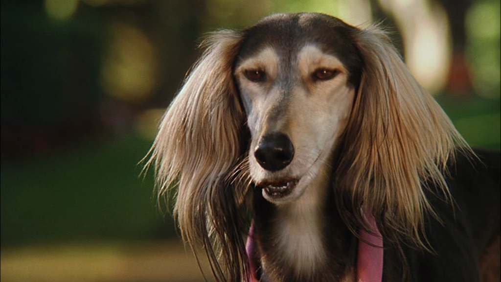 vlcsnap-2018-02-17-13h25m05s640