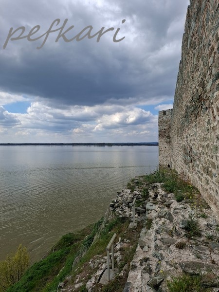 Slika
