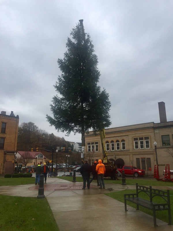 C2B1B9FB-B36A-4482-8C57-9AE588A49007