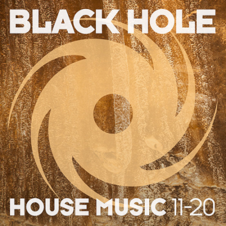 VA - Black Hole House 11-20 (2020)