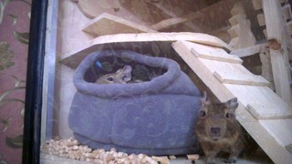 000WP_20170625_113(6)