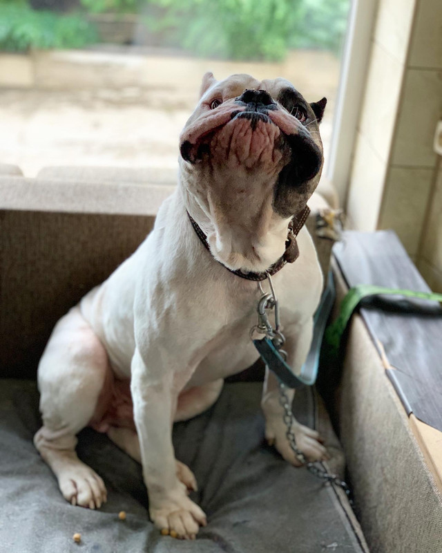 F3C46DFC-FF9B-4092-9BB2-20E00910CE8F