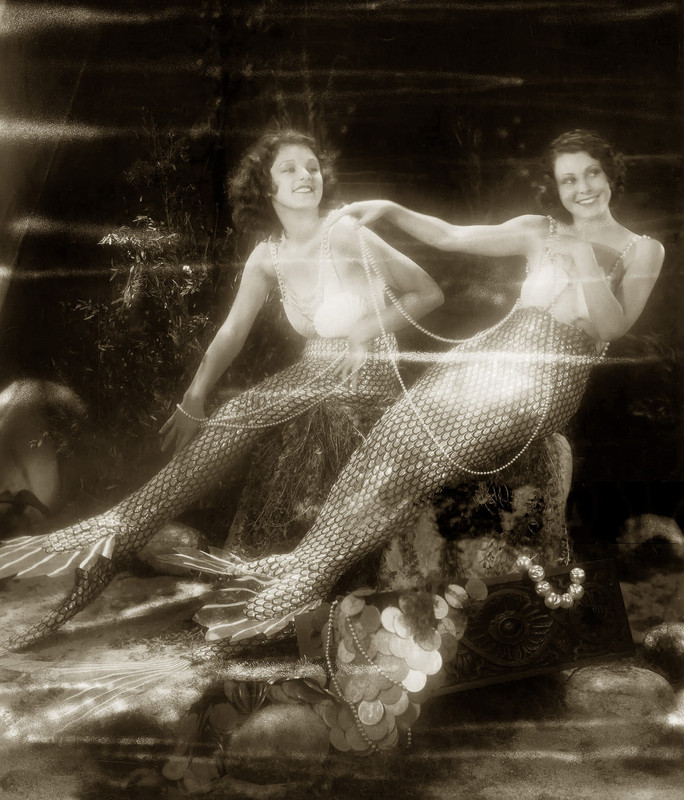 Where Salt and Fragrance Drown the Sun