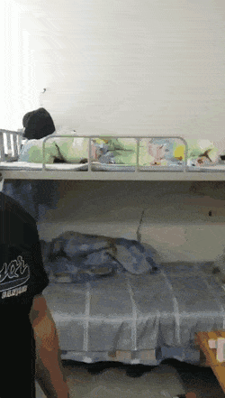 daily-gifdump-3433-28.gif