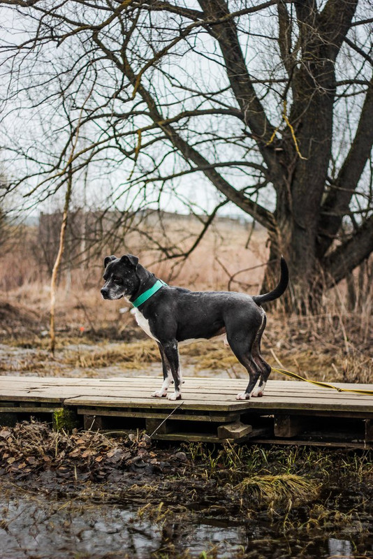 без имени-0476