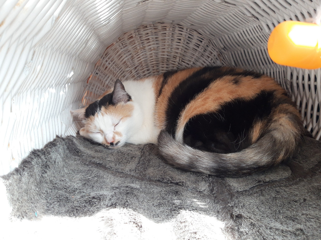 P3hlV8Wtz1zFQZnrN0rjLs2d8bnC70hJD9ExYHiAoE8ucV6uzSV5Lk4SwjU4t8kmO1aFbj8wbmQ5WHem10cEptXT