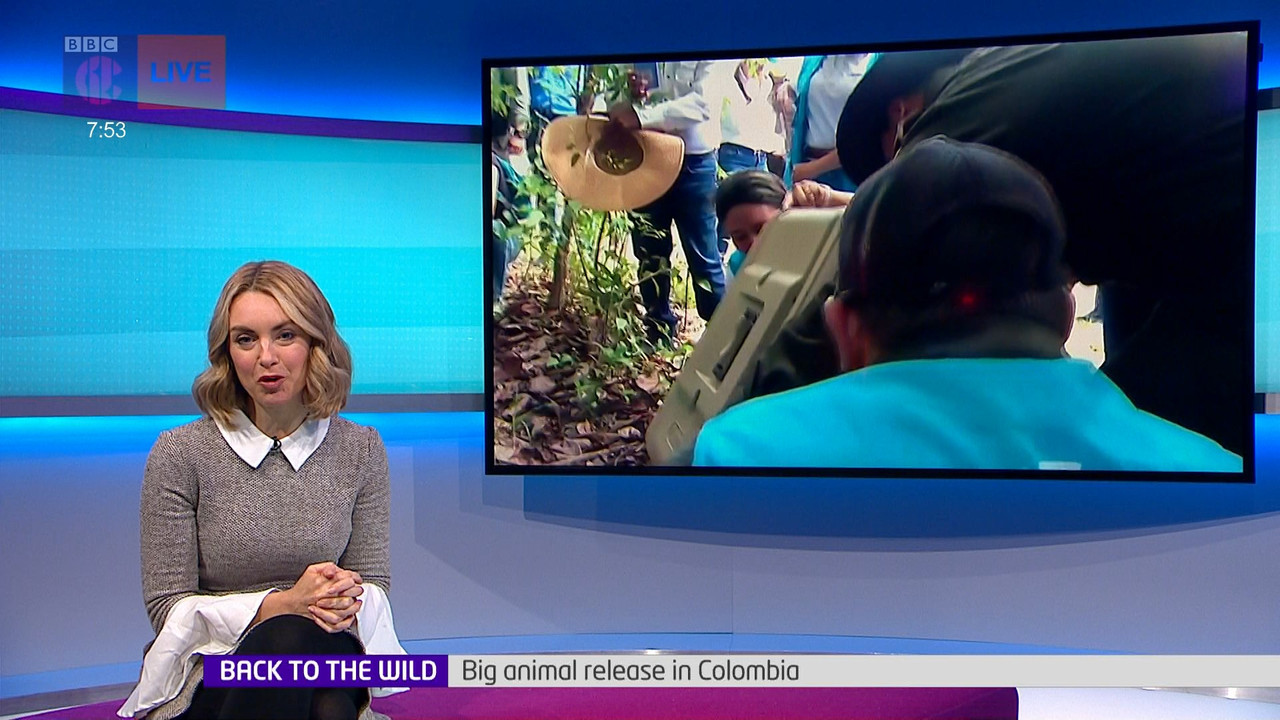 Newsround_20220407_07450755.ts_snapshot_09.23.142