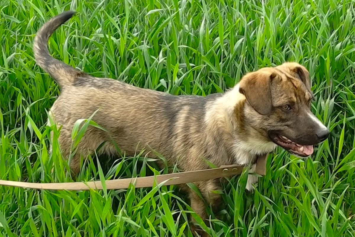 IMG_20190525_120100E