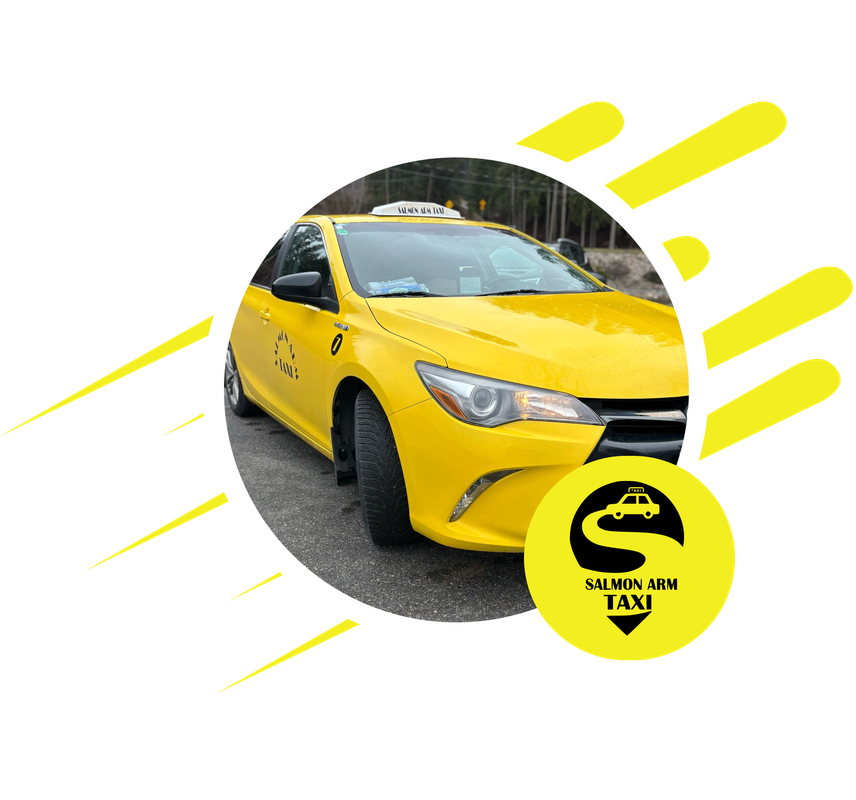 Professional taxi service