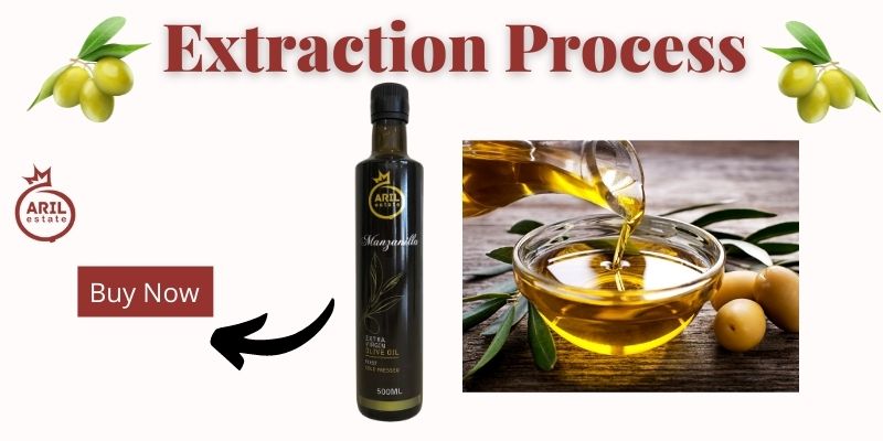 Extraction Process of olive oil 