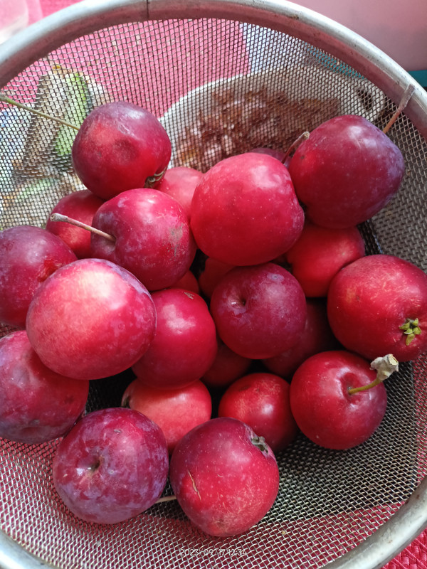 16949288671572700420407272453954