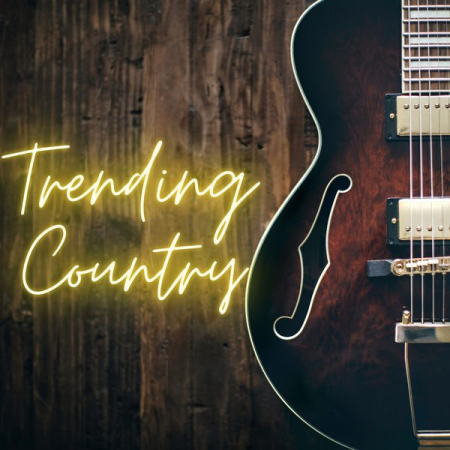 Various Artists   Trending Country (2020)