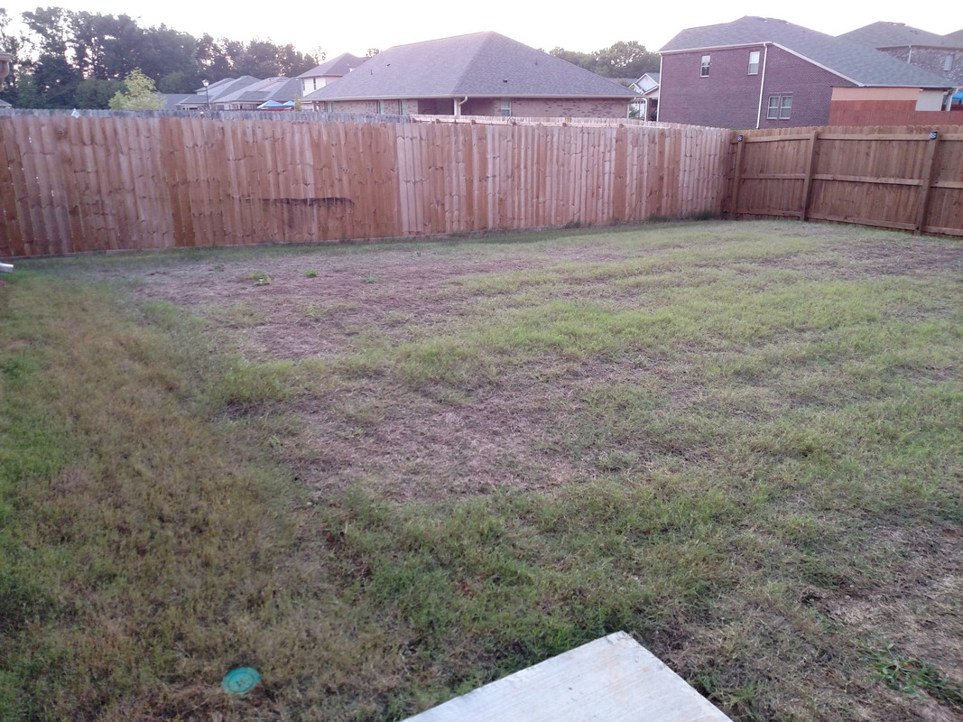 IMG_20160824_192602849