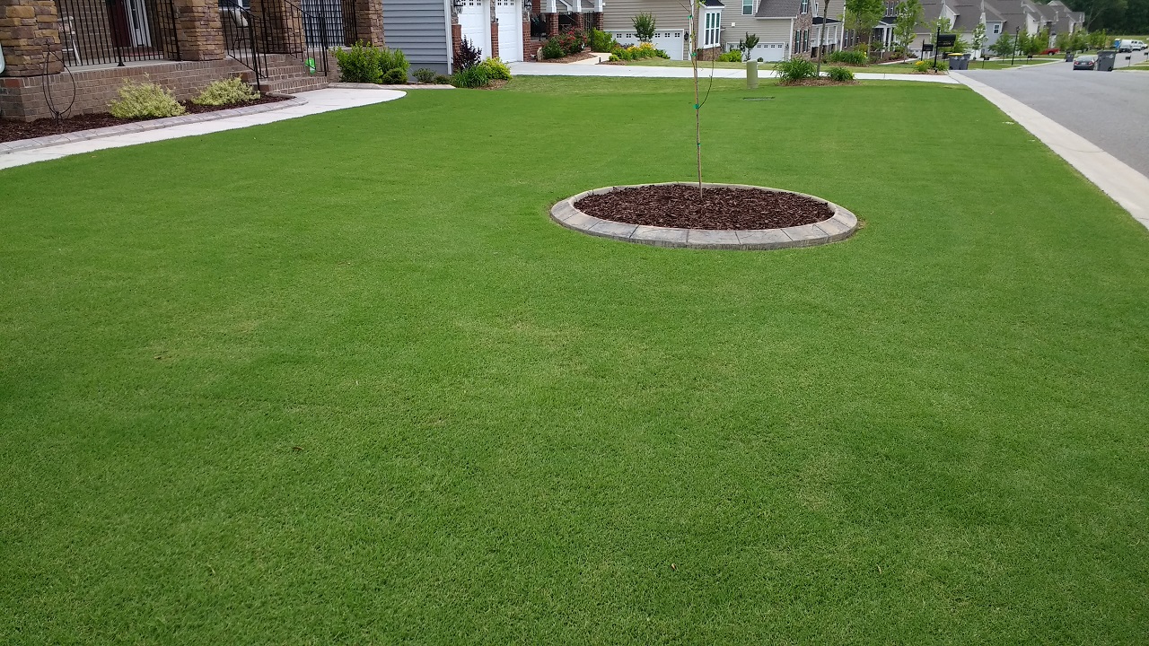 How much sand for leveling? - The Lawn Forum