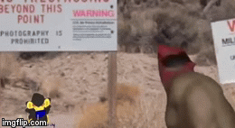 36b76g.gif