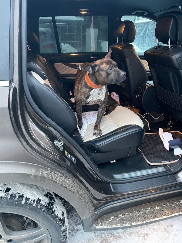 BB6D8731-BB93-48E1-8EC2-38B2ABCFCEAB