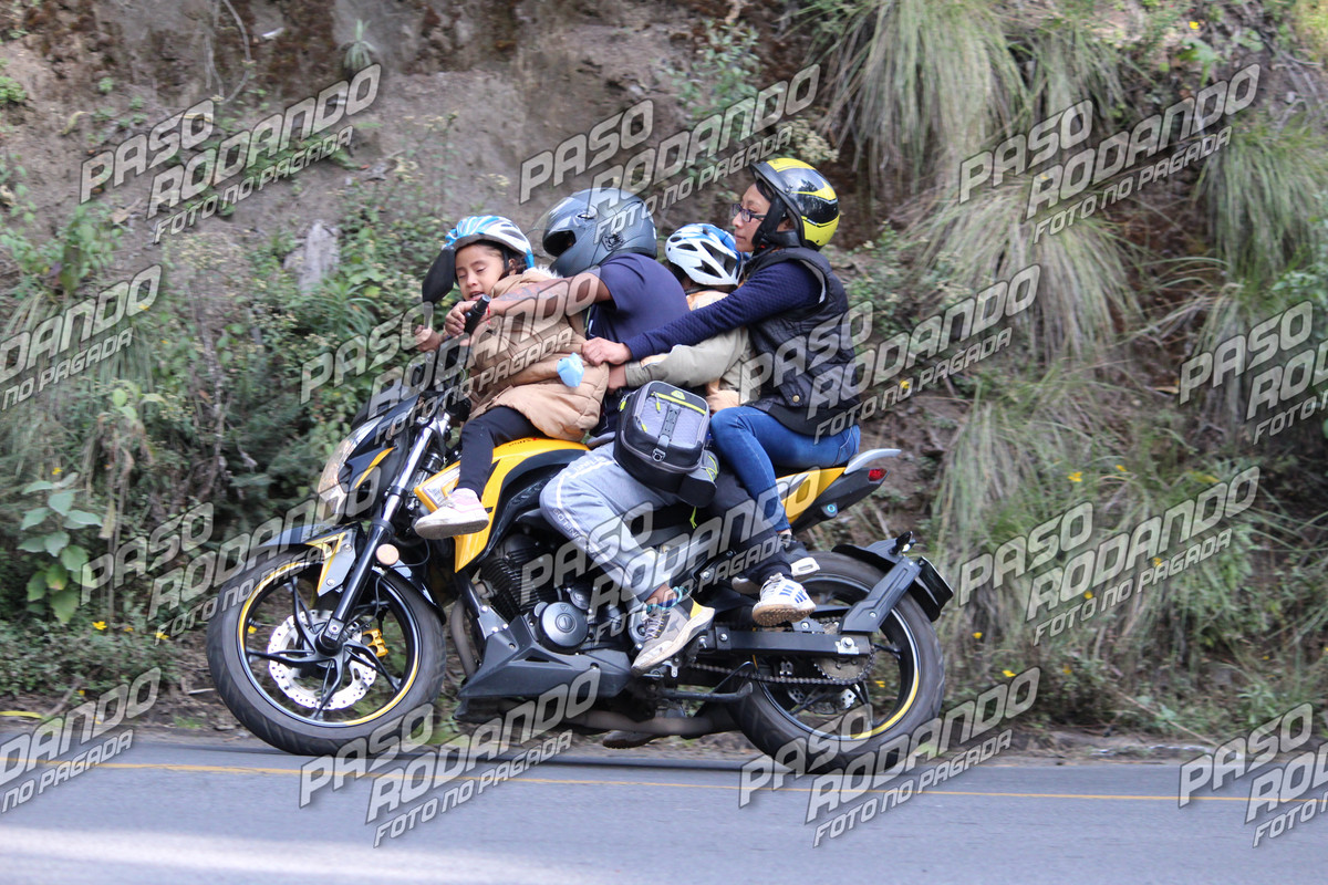 IMG 3452 wm 10116146 7 watermarked — Postimages